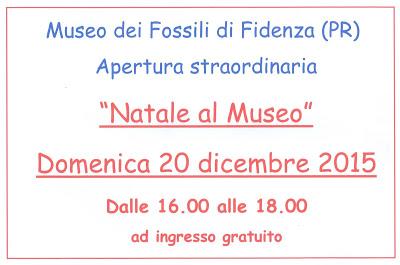 Natale al Museo dei fossili