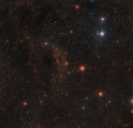 Una vecchia stella gigante a dieta Questa panoramica mostra il cielo intorno alla brillante ipergigante rossa VY Canis Majoris, una delle stelle più grandi nota nella Via Lattea. La stella stessa è al centro dell'immagine, che comprende anche nubi di idrogeno gassoso incandescente, nubi di polvere e l'ammasso stellare che circonda la stella luminosa Tau Canis Majoris, in alto a destra. Questa immagine è stata ottenuta a partire da dati della DSS2 (Digitized Sky Survey 2). Crediti: ESO/Digitized Sky Survey 2. Acknowledgement: Davide De Martin