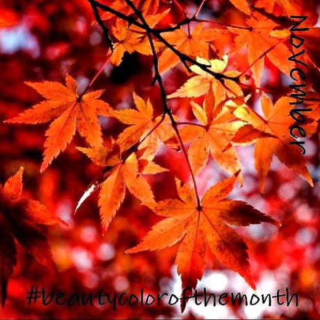 Rubrica Mensile Tag: Beauty Color of The Month – November