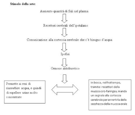 Acqua, un bene prezioso