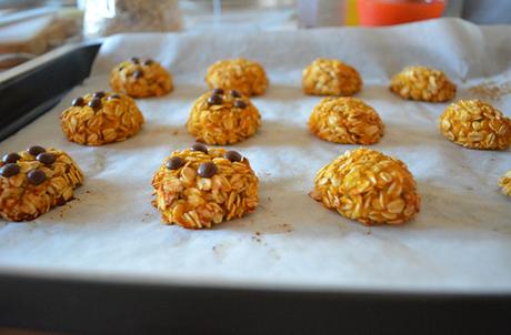 Biscotti alla zucca e fiocchi d’avena