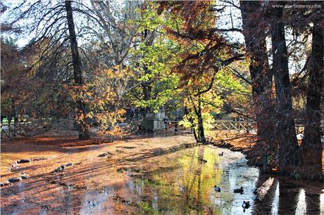 Parco Sempione e l’autunno che se ne va. Parco Sempione e l’autunno che se ne va.