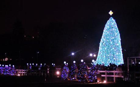 Cerimonia di accensione dell’Albero più alto d’Europa a Caposele (AV)