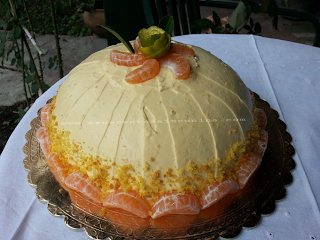 Torta delizia al mandarino.