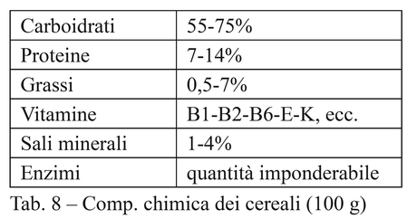 Tipi di cereali: proprietà energetiche e nutrizionali