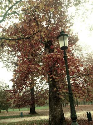 Novembre, flâneuse a Parma