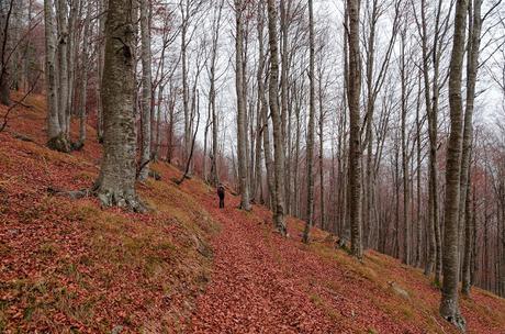 PALIS D'ARINT :- a spasso sulle nuvole