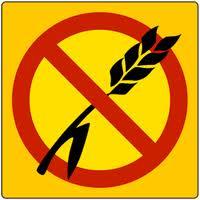 Dottor Mozzi al...Volo! Istruzioni per l'uso della dieta Dottor Mozzi al...Volo! Istruzioni per l'uso della dieta