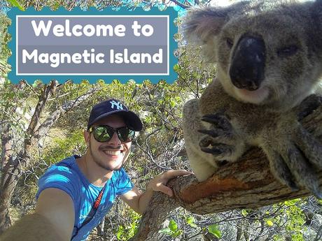 Magnetic Island: info, racconti e koala liberi