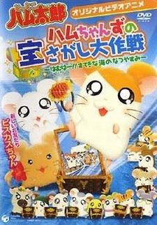 Hamtaro- la recensione dei quattro OAV (OVA) della serie!