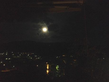 La Luna e la Volpe La Luna e la Volpe
