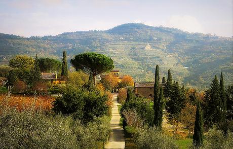 Diario di un autunno in Toscana con Caccia al Territorio: cosa fare e dove mangiare nella provincia di Arezzo