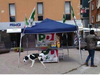 Twitter-01 Twitter-01