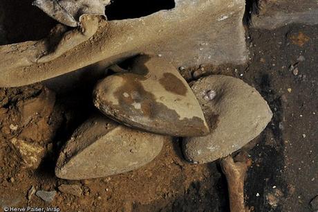 Il cuore del cavaliere Il cuore del cavaliere