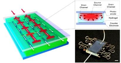 Celle solari che si autoriparano Celle solari che si autoriparano