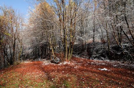 da Topolò al Monte San Martino