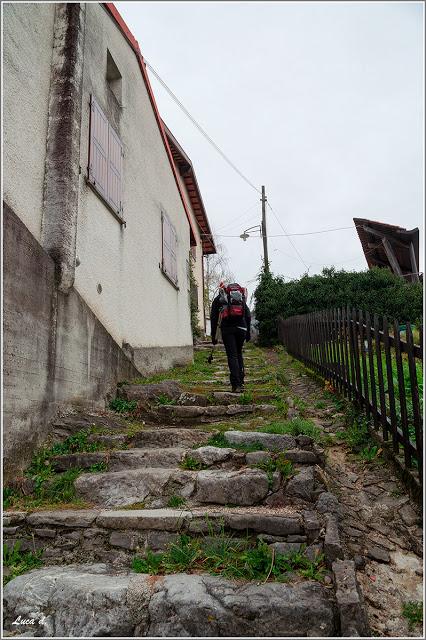 da Topolò al Monte San Martino