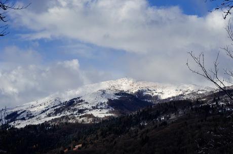 da Topolò al Monte San Martino