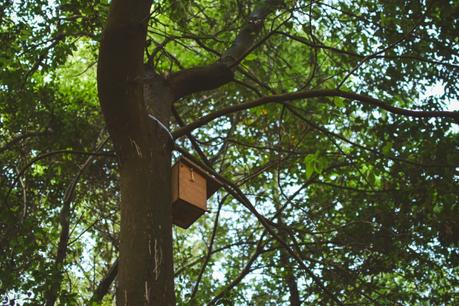 La foresta urbana di Lecce - alla scoperta del parco delle cave