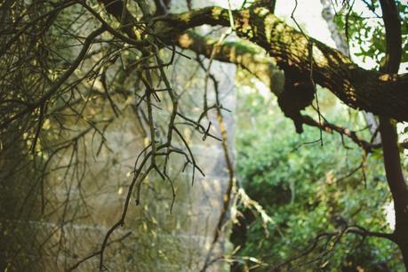 La foresta urbana di Lecce - alla scoperta del parco delle cave