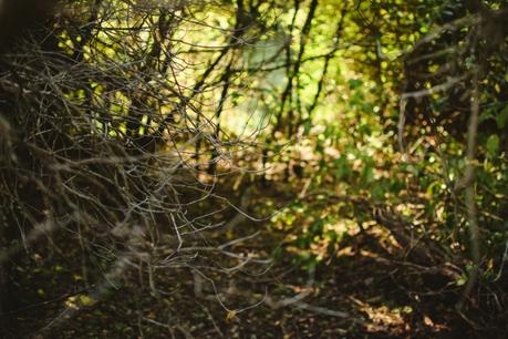 La foresta urbana di Lecce - alla scoperta del parco delle cave