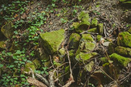 La foresta urbana di Lecce - alla scoperta del parco delle cave