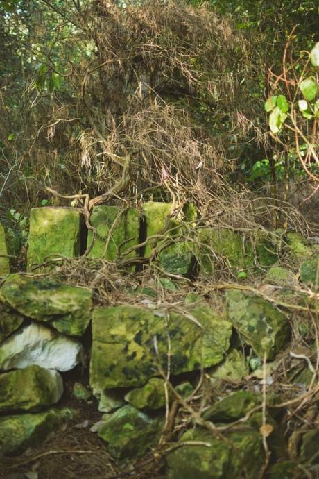 La foresta urbana di Lecce - alla scoperta del parco delle cave