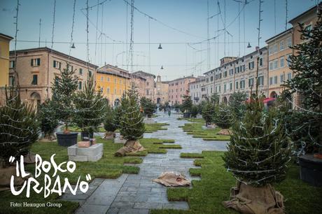 12322799_865328276898573_825785810032281910_o A S. Severino Marche (Mc) arriva il Bosco Urbano per un Natale da favola!