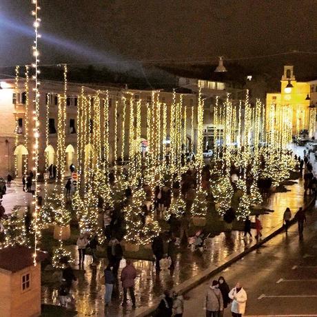 12345514_1003988216328506_969203018335760548_n A S. Severino Marche (Mc) arriva il Bosco Urbano per un Natale da favola!