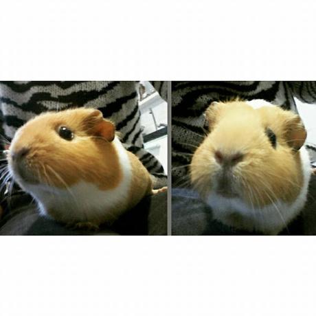 INSTAGRAM MOMENTS!! INSTAGRAM MOMENTS!!