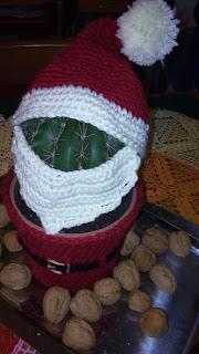 CACTUS BABBO NATALE