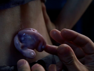 Realismo e realtà – eXistenZ Realismo e realtà – eXistenZ