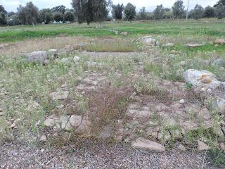 L’AREA ARCHEOLOGICA DI SAN CROMAZIO - VILLA SPECIOSA