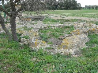 L’AREA ARCHEOLOGICA DI SAN CROMAZIO - VILLA SPECIOSA