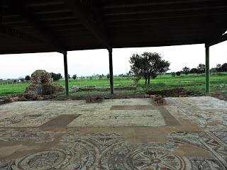 L’AREA ARCHEOLOGICA DI SAN CROMAZIO - VILLA SPECIOSA