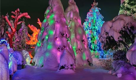 Gli eventi dell’Avvento in Croazia croatia_central_cazma_salaj_family_christmas_0005