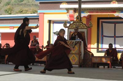 11 - Khamtrul Rinpoche (8)