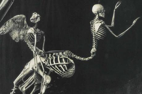 Nello spazio tra il Sacro e il Profano, c’è posto per l’Anima Gemella -cartolina_photolux_festival_2015m