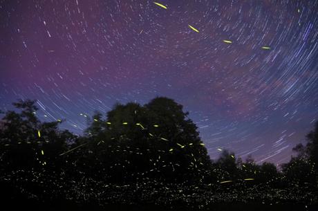 star trails - fotografia astronomica