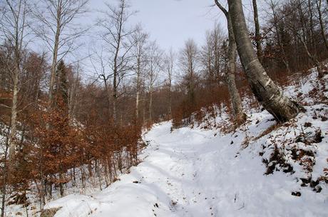 PUSTI GOST: sulle tracce del passato