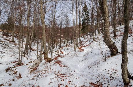 PUSTI GOST: sulle tracce del passato