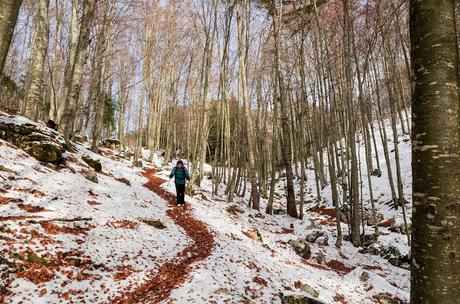 PUSTI GOST: sulle tracce del passato