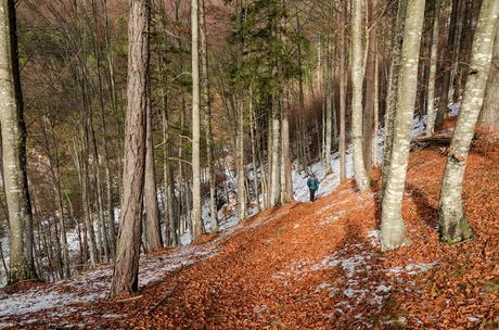 PUSTI GOST: sulle tracce del passato