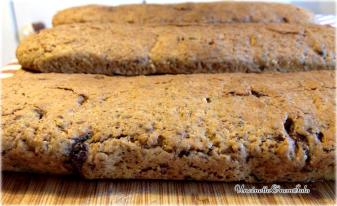 12386621_872386096208521_304033614_n Cantuccini cioccolato, nocciola e mandarino ♥