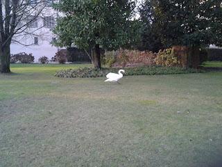 #Blogtour - Feltrinelli Zoom - elogio della poesia! #Blogtour - Feltrinelli Zoom - elogio della poesia!