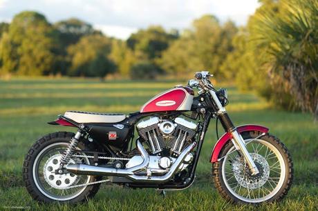 Harley XL 1200 2004 by Hageman Motorcycles