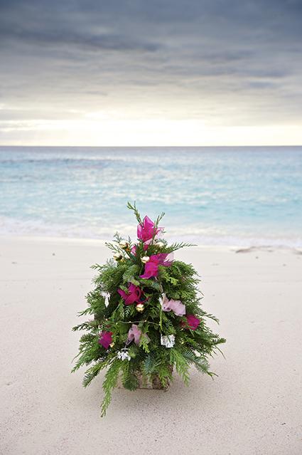 A Bermuda per un Natale “rosa”