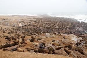 Verso l’Oceano Atlantico: Cape Cross e Swakopmund
