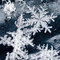 Santa Claus Book Tag Santa Claus Book Tag