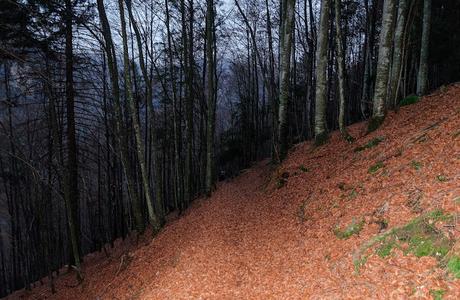 FORCELLA LODINA e il guardiano del Duranno